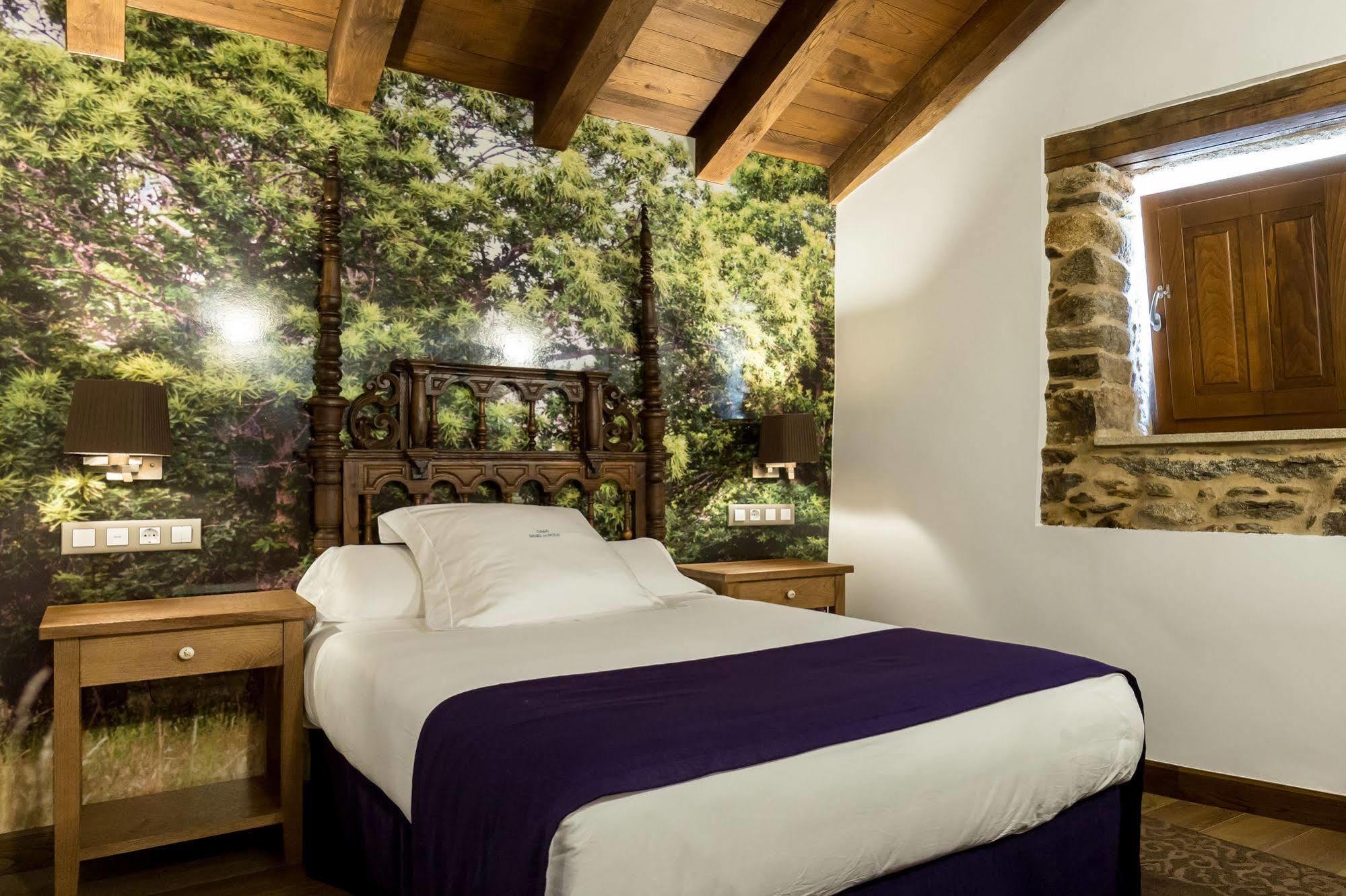 Hotel Pazo Da Pena Manzaneda Exteriér fotografie